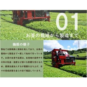 お茶 緑茶 茶葉 国産 静岡茶 日本茶 お茶 ...の詳細画像3
