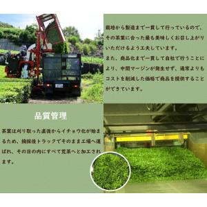 お茶 緑茶 茶葉 国産 静岡茶 日本茶 お茶 ...の詳細画像4