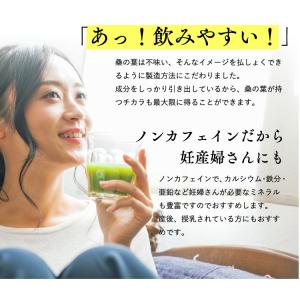 桑の葉茶 粉末 スティック 100本 パウダー...の詳細画像4