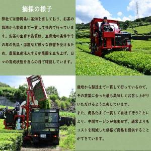 お茶 緑茶 茶葉 国産 静岡 深むし茶 翠瑞 ...の詳細画像4