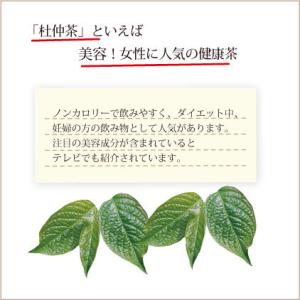 杜仲茶 国産 ティーバッグ 5g×20ケ入 ス...の詳細画像1