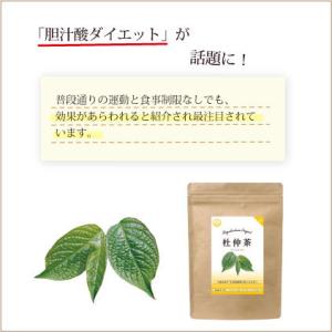 杜仲茶 国産 ティーバッグ 5g×20ケ入 ス...の詳細画像2