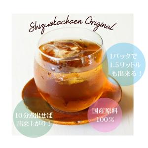杜仲茶 国産 ティーバッグ 5g×20ケ入 ス...の詳細画像3