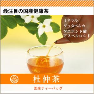 杜仲茶 国産 ティーバッグ 5g×20ケ入 ス...の詳細画像4