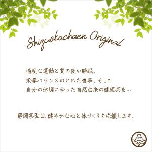 杜仲茶 国産 ティーバッグ 5g×20ケ入 ス...の詳細画像5