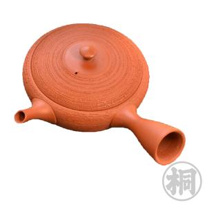 常滑焼 常滑作家急須 玉光陶苑 梅原廣隆作 陶製アミ 240ml 茶器 国産