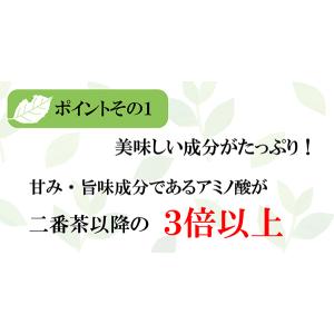 お茶 緑茶 新茶 静岡新茶 丸子わせ 30g ...の詳細画像5
