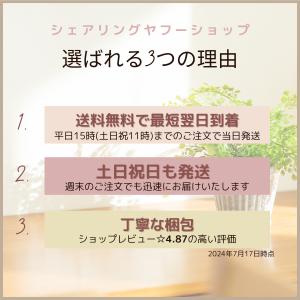 エコースポット スピーカー アレクサ Blue...の詳細画像2