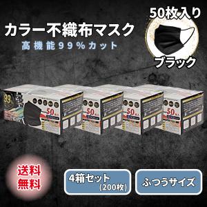 ヒロ・コーポレーション 黒マスク 不織布 50枚 ブラック カラー 2箱