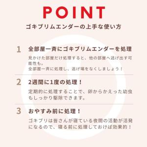 ゴキブリムエンダー 80プッシュ スプレー 1...の詳細画像5