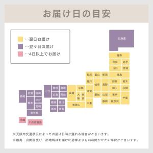 ナンバーズイン 5番 グルタチオンC 美容液 ...の詳細画像5