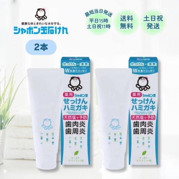 歯磨き粉 シャボン玉石けん せっけんハミガキ 薬用 シャボン玉 石鹸歯磨き粉 石けん 80g 2本 ...