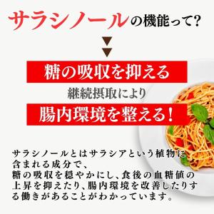 メタバリアEX 240粒 30日分 サプリメン...の詳細画像3