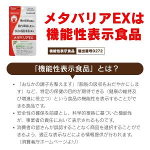 メタバリアEX 240粒 30日分 サプリメン...の詳細画像5