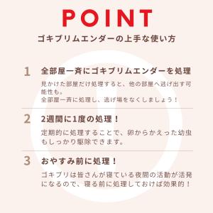 ゴキブリムエンダー 業務用 120プッシュ 2...の詳細画像5