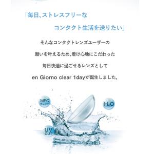 コンタクトレンズ 1day 30枚 アンジョル...の詳細画像2