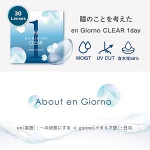 コンタクトレンズ 1day 30枚 アンジョル...の詳細画像3