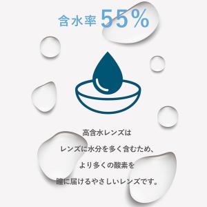 コンタクトレンズ 1day 30枚 アンジョル...の詳細画像5