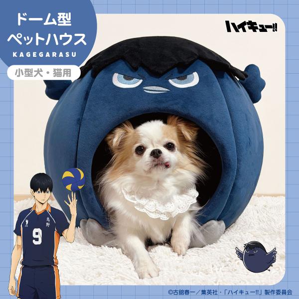 ハイキュー!! ペットハウス ＜ カゲガラス ＞ HK20828