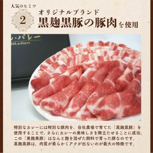【甘酒カレー 30箱入り】 鹿児島 ご当地カレ...の詳細画像4