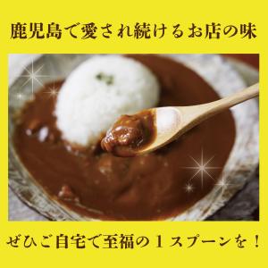 【甘酒カレー 30箱入り】 鹿児島 ご当地カレ...の詳細画像5