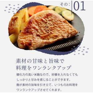 【テレビで話題!】米麹 500g 河内菌 麹水...の詳細画像4