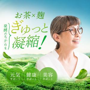 【サンプル10粒入】河内菌本舗 茶麹 乳酸菌入...の詳細画像1