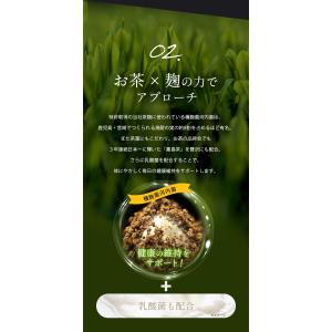 【サンプル10粒入】河内菌本舗 茶麹 乳酸菌入...の詳細画像5