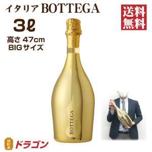 BOTTEGA お酒 ワイン ボッテガ スターダスト プロセッコ 11° 750ml