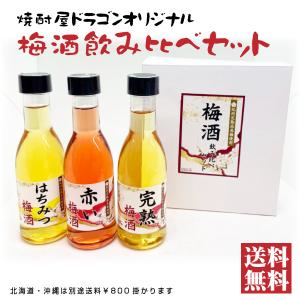 チョーヤ梅酒 チョーヤ さらりとした梅酒 1000mlパック 1L 10％ 本格