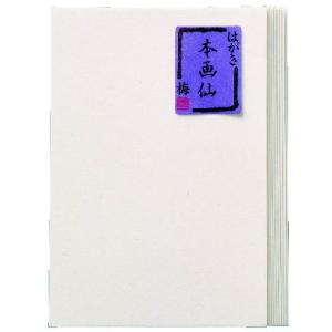絵手紙はがき　本画仙　10枚入