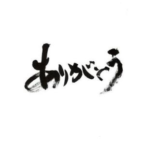 書道家手書き色紙　ありがとう｜shodouya