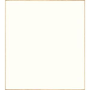 姫色紙(豆色紙)画仙張1枚 書道 水墨画 書画 貼り絵の商品画像
