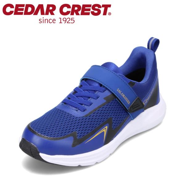 セダークレスト CEDAR CREST CC-3119 キッズ スニーカー ランニングシューズ 透湿...