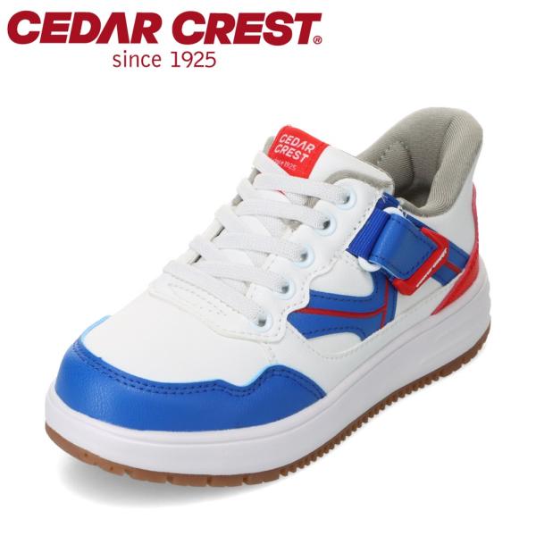 セダークレスト スパットシューズ（スニーカータイプ） CC-3139 キッズ キッズ スニーカー ラ...