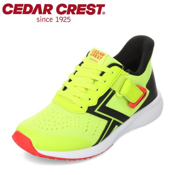 セダークレスト スパットシューズ CC-3128 キッズ スニーカー キッズ 運動靴 通学 通園 体...