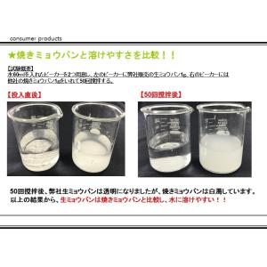 A10 生ミョウバン 900g 粉 ミョウバン...の詳細画像4