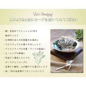 D1 ホワイトセージ ゴールドルーズリーフ 1...の詳細画像1