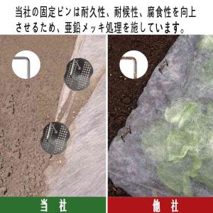Uピン杭 黒丸付 50本セット 20cm 防草...の詳細画像4