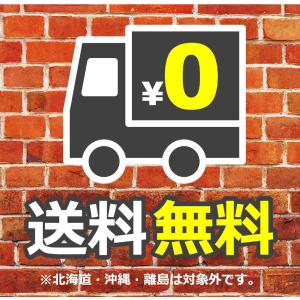 【送料無料】レッドウィングオールソール交換 ビ...の詳細画像3