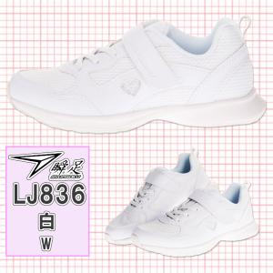 瞬足 シュンソク 女の子 スニーカー キッズ ...の詳細画像5