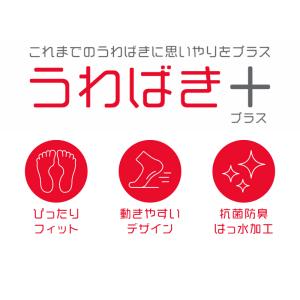 うわばきプラス キッズ バレーシューズタイプ ...の詳細画像1
