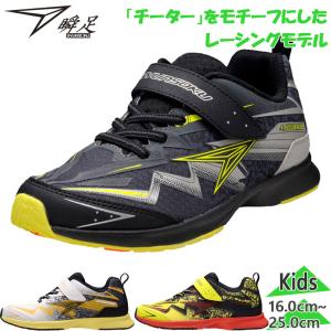 瞬足 スニーカー シュンソク 17-22(H) V10 168 キッズランニング