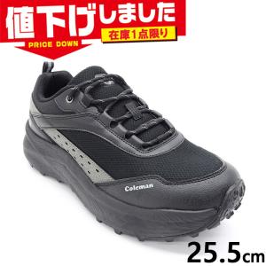 AND1（アンドワン） バッシュ バスケットシューズ メンズ ジュニア