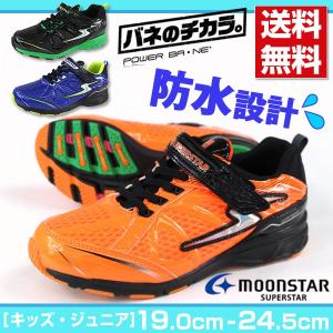 スニーカー ローカット 子供 キッズ ジュニア 靴 MOONSTAR SUPERSTAR SS J748 ムーンスター スーパースター｜shoesbase