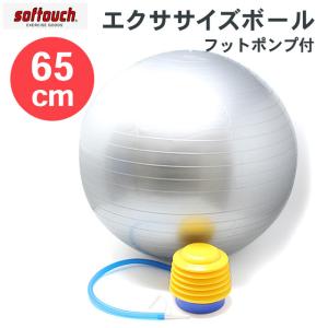 エクササイズボール 55cm レッド フットポンプ付 ソフタッチ バランス