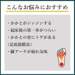 インソールプロ 足底筋膜炎 対策 中敷き イン...の詳細画像2