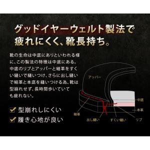 AVIREX アビレックス TIGER タイガ...の詳細画像4