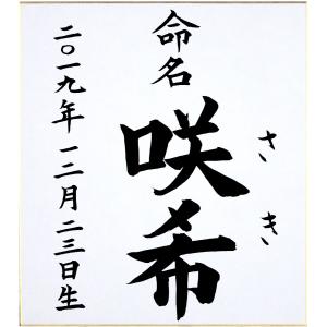 命名書色紙（たとう付き）／無地／【納期1週間以上】 : 書玄堂 - 通販