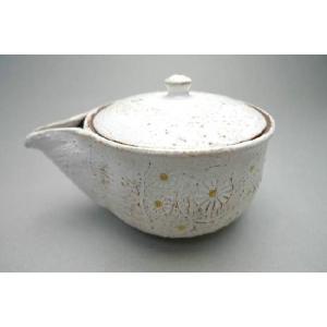 茶道具 香合 南瓜 かぼちゃ 畦地多喜翁作 茶道 : 茶道具いまや静香園